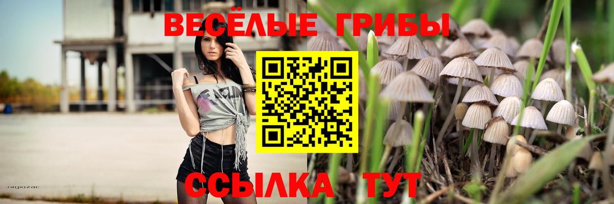 Галлюциногенные грибы Psilocybine cubensis  Вход с VPN  купить  сайты  Нефтекумск 