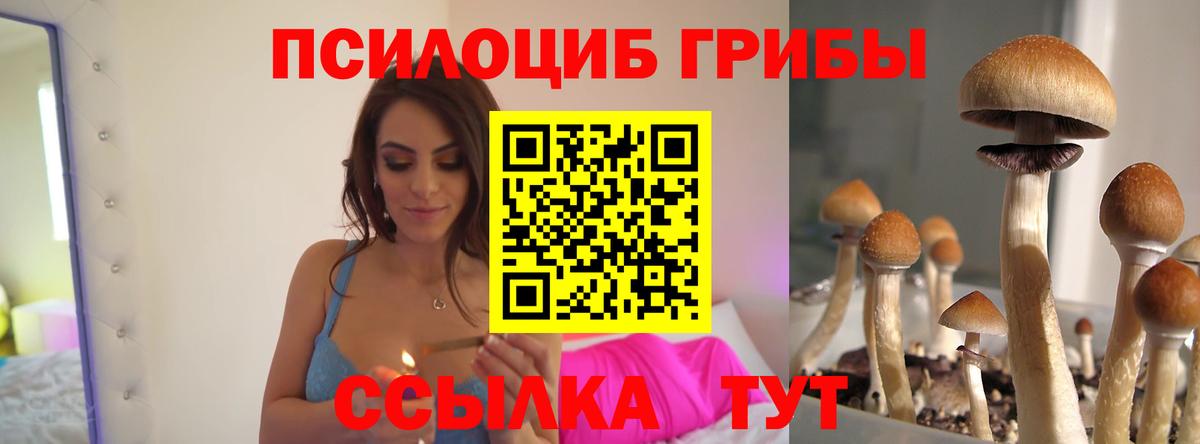 Галлюциногенные грибы прущие грибы Нефтекумск